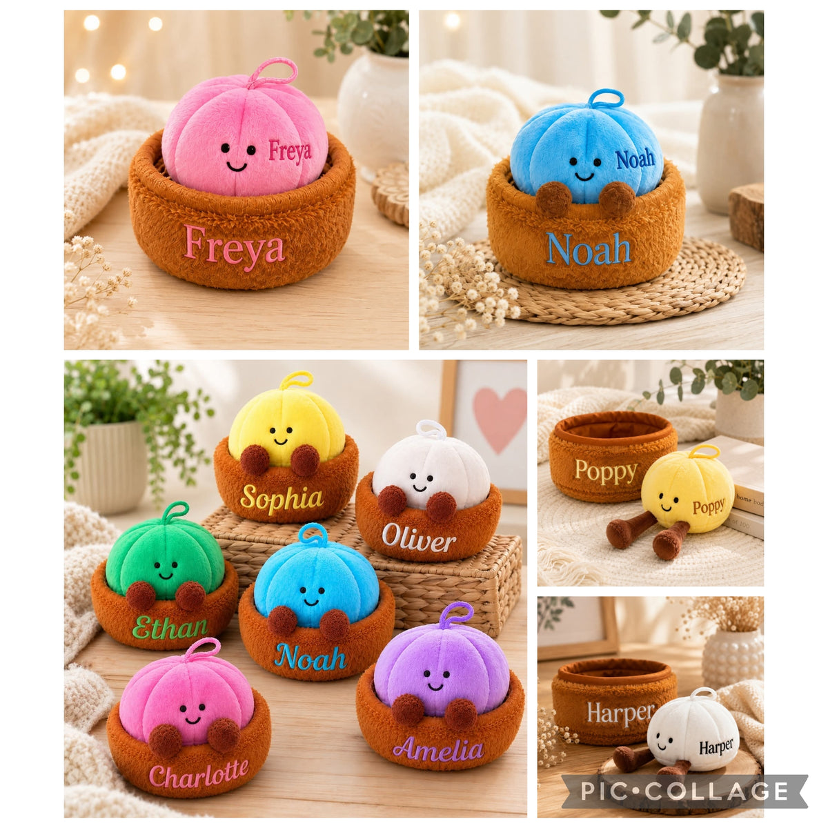 Dumpling Teddy (Pre order DEPOSIT)